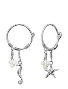 Momi Earrings Ørestickere Smykker Silver Maanesten