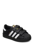 Superstar Cf C Sport Sneakers Low-top Sneakers Black Adidas Originals