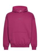 Anf Mens Sweatshirts Tops Sweatshirts & Hoodies Hoodies Purple Abercro...