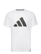 Adidas Train Essentials Feelready Logo Training T-Shirt Sport T-Kortær...