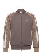 Sstr Mono Tt Sport Sweatshirts & Hoodies Sweatshirts Brown Adidas Orig...