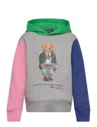 Polo Bear Color-Blocked Fleece Hoodie Tops Sweatshirts & Hoodies Hoodi...