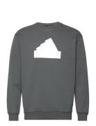 M Fi Bos Crw Sport Sweatshirts & Hoodies Sweatshirts Grey Adidas Sport...