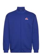 M Fi Bos Tt Oly Sport Sweatshirts & Hoodies Sweatshirts Blue Adidas Sp...