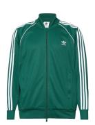 Sst Tt Sport Sweatshirts & Hoodies Sweatshirts Green Adidas Originals
