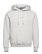 Tommy Logo Tipped Hoody Tops Sweatshirts & Hoodies Hoodies Grey Tommy ...