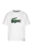 Tee-Shirt&Turtle Sport T-Kortærmet Skjorte White Lacoste