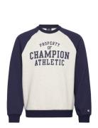 Crewneck Sweatshirt Sport Sweatshirts & Hoodies Sweatshirts Navy Champ...