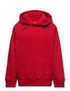 Kids Boys Sweatshirts Tops Sweatshirts & Hoodies Hoodies Red Abercromb...