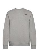 Ri Left Chest Logo C Sport Sweatshirts & Hoodies Sweatshirts Grey Reeb...
