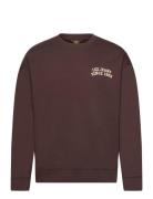 Graphic Sws Tops Sweatshirts & Hoodies Sweatshirts Brown Lee Jeans