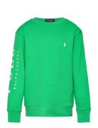 Logo Spa Terry Sweatshirt Tops Sweatshirts & Hoodies Sweatshirts Green...