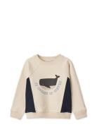 Aude Placement Sweatshirt Tops Sweatshirts & Hoodies Sweatshirts Cream...
