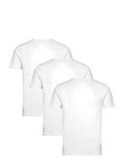 Bs Antiqua Regular Fit T-Shirt Tops T-Kortærmet Skjorte White Bruun & ...