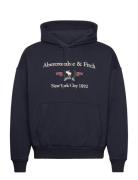 Anf Mens Sweatshirts Tops Sweatshirts & Hoodies Hoodies Blue Abercromb...