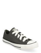 Chuck Taylor All Star Sport Sneakers Low-top Sneakers Khaki Green Conv...