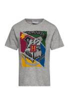 Short-Sleeved T-Shirt Tops T-Kortærmet Skjorte Grey Harry Potter
