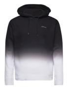 Hco. Guys Sweatshirts Tops Sweatshirts & Hoodies Hoodies Black Hollist...