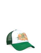 Pica Pica Oranges Accessories Headwear Caps Green Pica Pica