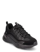 Womens Bobs Bamina - Star Strikez Low-top Sneakers Black Skechers