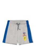 Shorts Bottoms Shorts Grey Paw Patrol