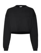 Pro Cropped Sweat O'neck Tops Sweatshirts & Hoodies Sweatshirts Black ...