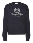 Reg Flag Script Cnk Swtshrt Tops Sweatshirts & Hoodies Sweatshirts Blu...