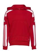 Squadra21 Hoody Youth Sport Sweatshirts & Hoodies Hoodies Red Adidas P...