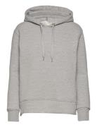 Lr-Nuka Tops Sweatshirts & Hoodies Hoodies Grey Levete Room