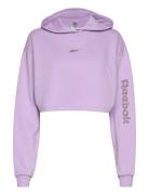 Modern Safari Coverup Sport Sweatshirts & Hoodies Hoodies Purple Reebo...