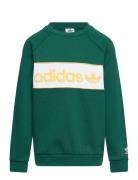 Crew Sport Sweatshirts & Hoodies Sweatshirts Green Adidas Originals