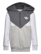 Hz Hoodie Sport Sweatshirts & Hoodies Hoodies Grey Adidas Originals