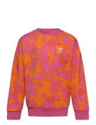Crew Sport Sweatshirts & Hoodies Sweatshirts Pink Adidas Originals