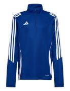 Tiro24 Trtopy Sport Sweatshirts & Hoodies Sweatshirts Blue Adidas Perf...
