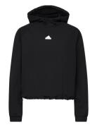 W C Esc Q1 Hd Sport Sweatshirts & Hoodies Hoodies Black Adidas Sportsw...