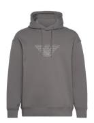 Sweatshirt Designers Sweatshirts & Hoodies Hoodies Grey Emporio Armani