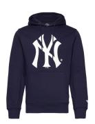 New York Yankees Primary Logo Graphic Hoodie Tops Sweatshirts & Hoodie...