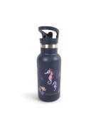 Stainless Steel Water Bottle - Rainbow Reef Home Meal Time Blue Filiba...