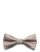 Jacsolid Bowtie Noos Butterfly Brown Jack & J S
