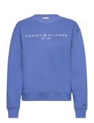 Mdrn Reg Corp Logo C-Nk Swtshrt Tops Sweatshirts & Hoodies Sweatshirts...