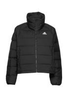 Helionic Relaxed Fit Down Jacket W Sport Jackets Padded Jacket Black A...