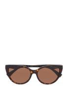 0Ea4162 Solbriller Brown Emporio Armani Sunglasses