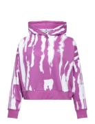 Hoodie  Sport Sweatshirts & Hoodies Hoodies Multi/patterned Adidas Ori...