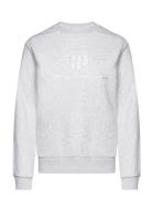 Reg Tonal Shield C-Neck Sweat Tops Sweatshirts & Hoodies Sweatshirts G...