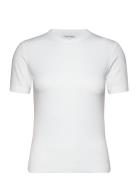 Modal Rib Ss Tee Tops T-shirts & Tops Short-sleeved White Calvin Klein