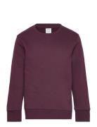 Sweatshirt Basic Tops Sweatshirts & Hoodies Sweatshirts Burgundy Linde...