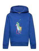 Big Pony Fleece Hoodie Tops Sweatshirts & Hoodies Hoodies Blue Ralph L...
