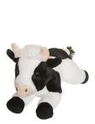 Teddy Farm, Lying Cow Toys Soft Toys Stuffed Animals Black Teddykompan...