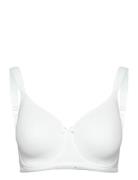 Smooth Line Padded Wired Bra White Lingerie Bras & Tops Full Cup Bras ...