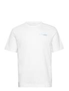 Printed T-Shirt Tops T-Kortærmet Skjorte White Tom Tailor